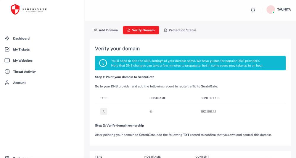 SentriGate Setup — Verify Domain